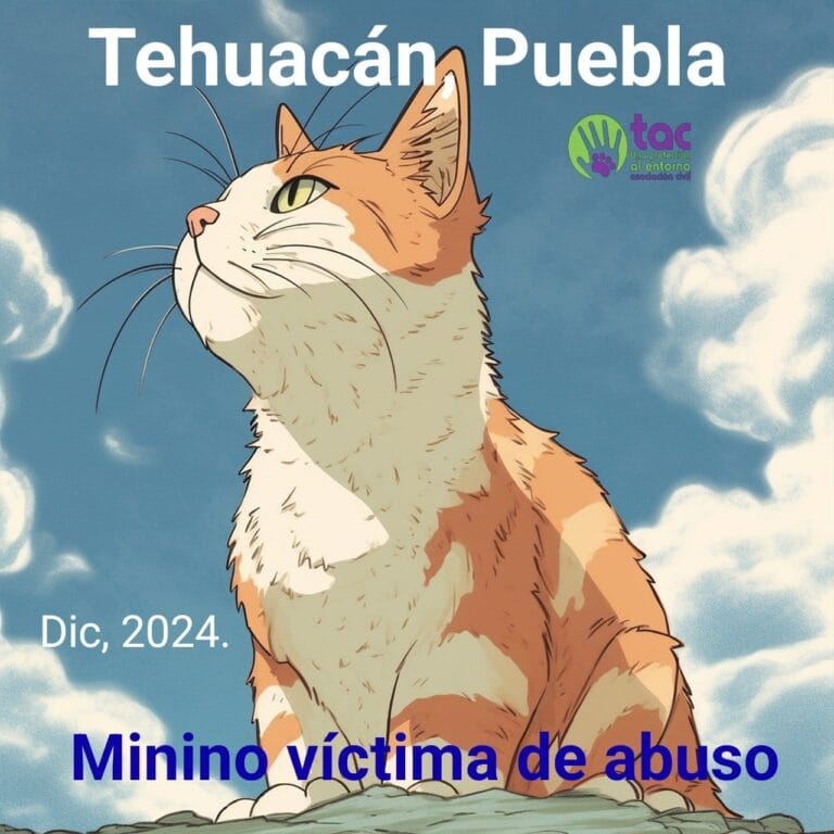 Michi muere luego de ser violado por enfermo mental