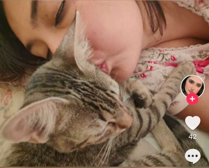 Desalmada abandona 60 gatitos enfermos en Amozoc.