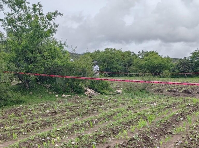 Encuentran otra fosa clandestina en Palmar de Bravo 