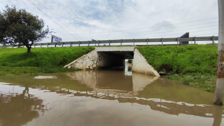 ¡Coronango en el abandono! Inundación arrasó con autos y animales, nunca llegó ayuda 