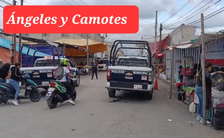 Acribillan a chofer de ruta 17 en Texmelucan