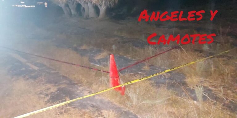 Tráiler atropella peregrinos de Puebla en Tlaxcala y mata a adolescente 