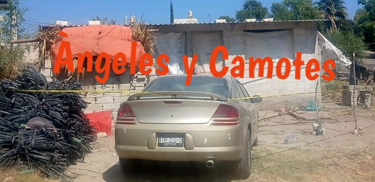 Niños escapan de casa tras feminicidio de su madre en Los Reyes de Juárez 
