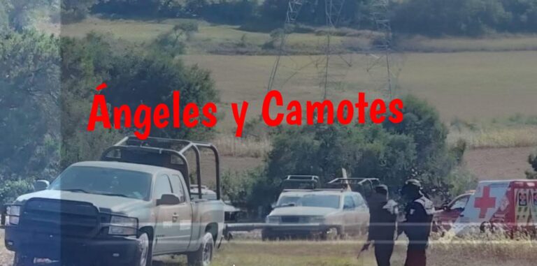 Aterrador hallazgo de restos en Cañada Morelos