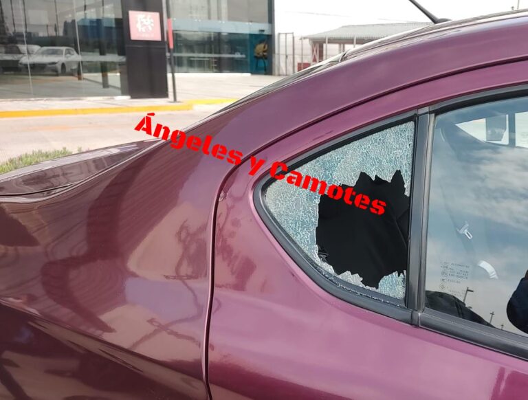 Cristalazo en Parque Puebla a plena luz del día 