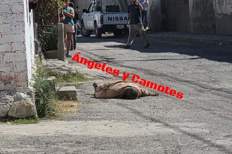 Acribillan a Amado en Totimehuacan; hace una semana degollaron a su hijo