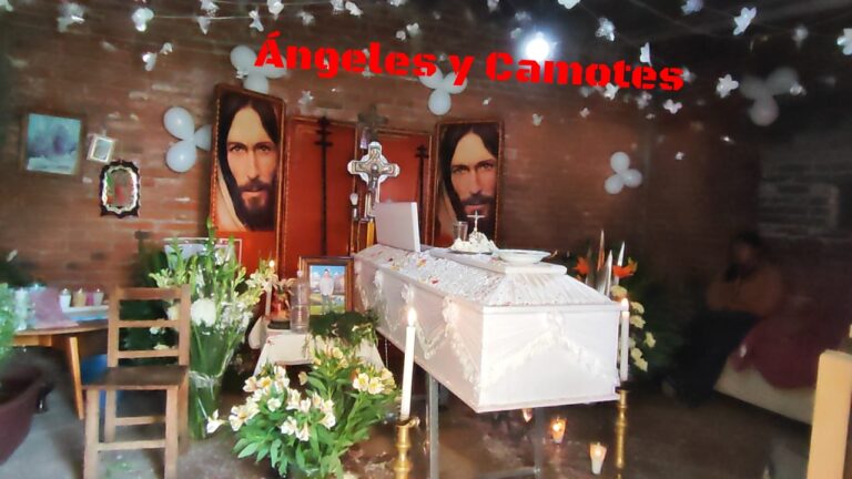 Culpan de muerte a Pepe Cinto en Juan C. Bonilla. VIDEO