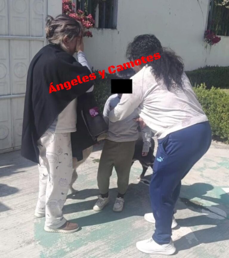 Moviliza a marinos para buscar a su hijo, el niño de 6 años estaba escondido en casa 