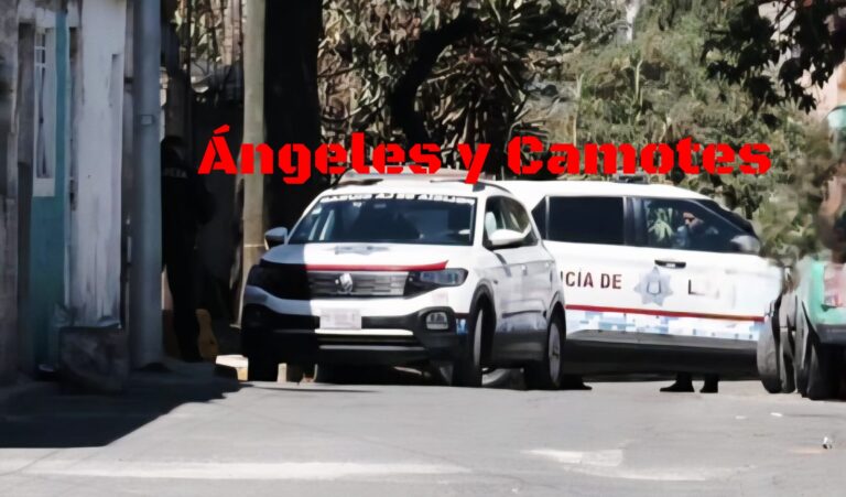 Perro encuentra restos humanos en bolsas en la ciudad de Puebla