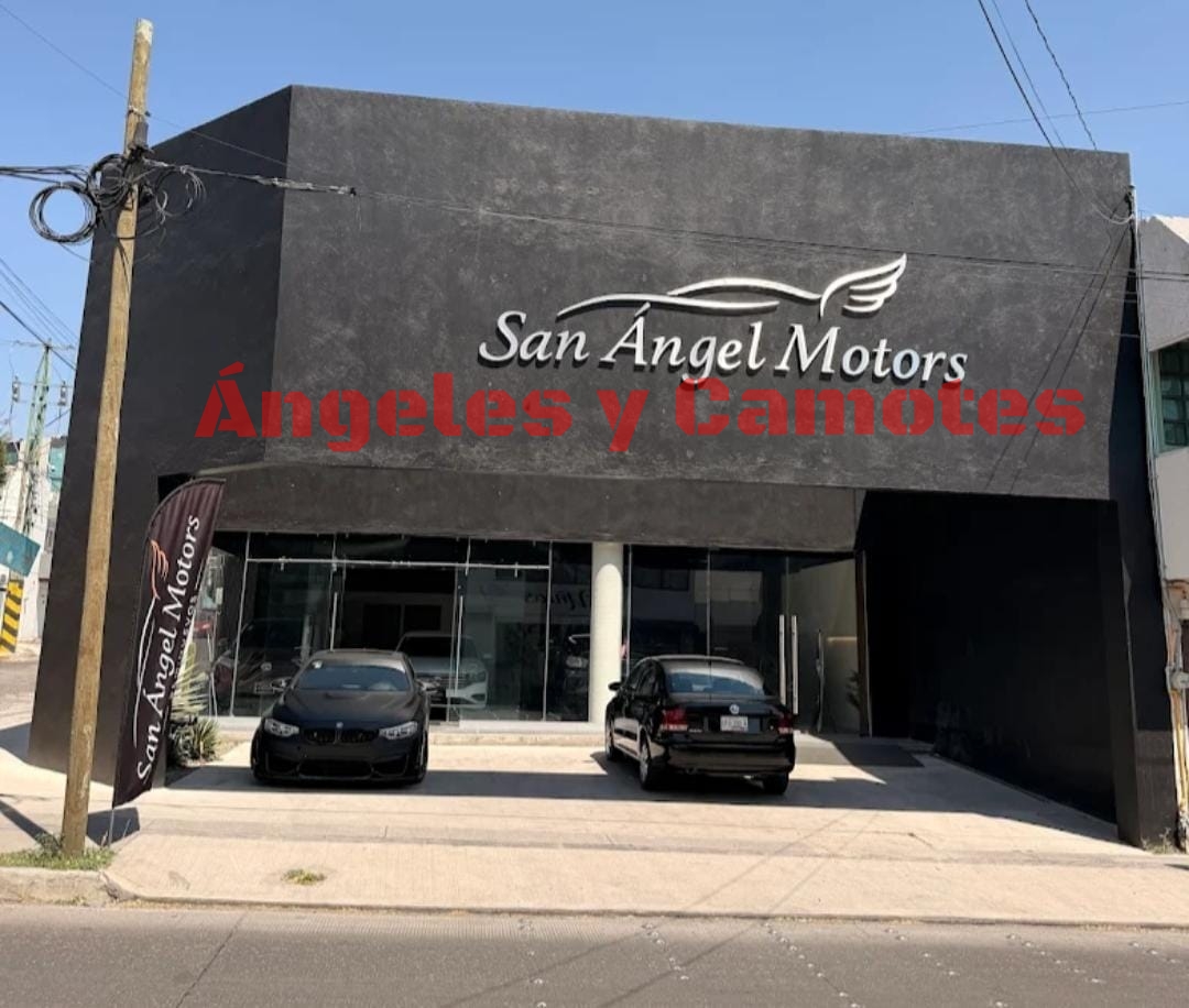 San Ángel Motors, Fraudes y drogas
