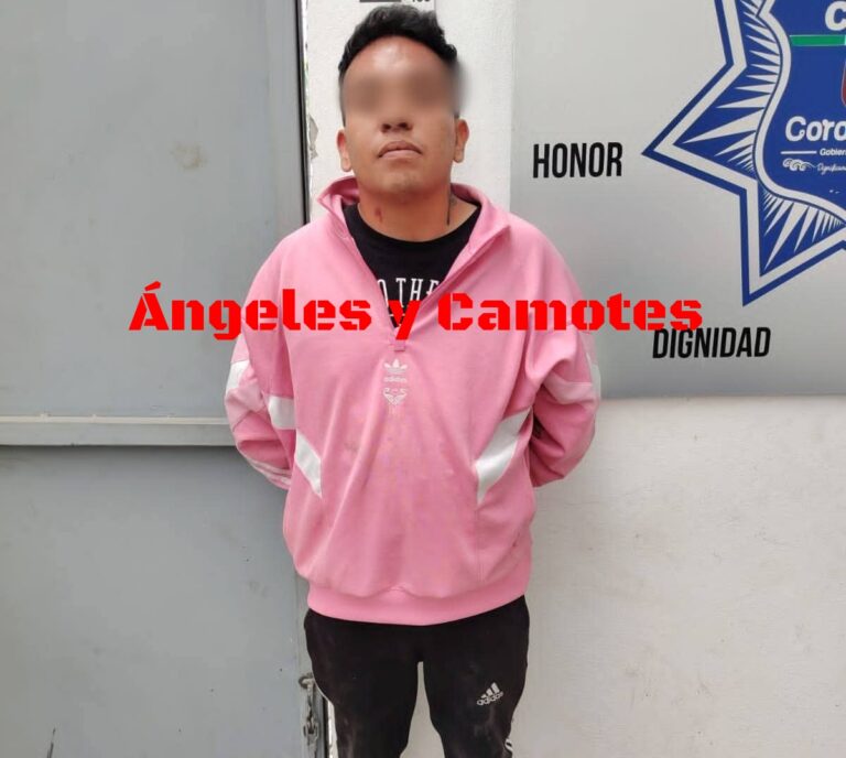 Liberarán a ladrón de camión de carga en la México-Puebla