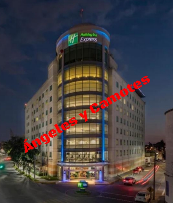 Madre e hijos hacen pacto suicida; hallan a dos muertos en Holiday Inn de Puebla 