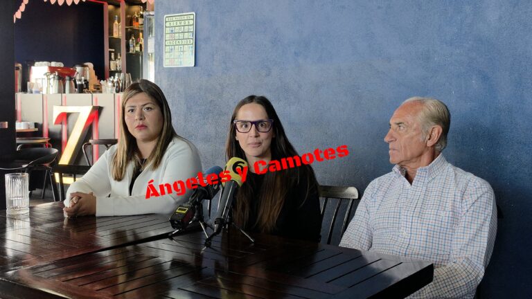 Alejandra murió por accidente; hermano quiere en prisión a cuñado, para quedarse propiedad