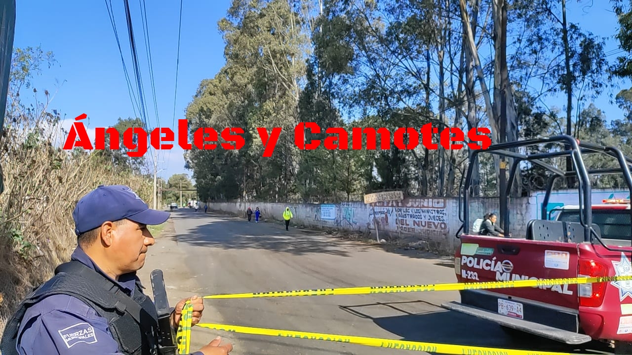 Hallan bolsas con cuerpos desmembrados en la Tlaltenango-Xoxtla