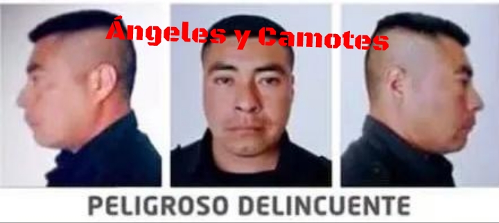 Detienen a “El Bukanas” peligroso capo del Huachicol