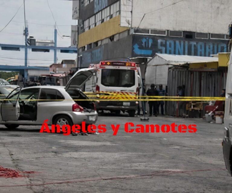 Se disfrazan de mariachis y arman balacera en mercado Morelos