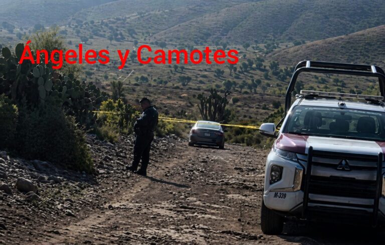 Dejan auto con dos cadáveres en la federal Tehuacán-Orizaba 