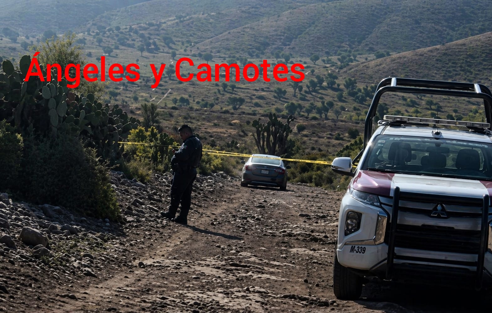 Dejan auto con dos cadáveres en la federal Tehuacán-Orizaba 