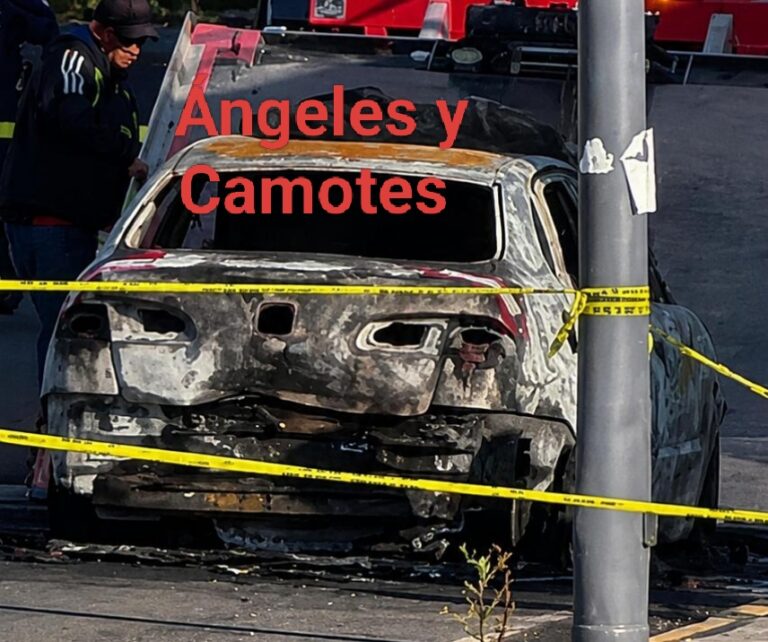 Familia Michoacana incendia vehículo con un cadáver en Puebla 