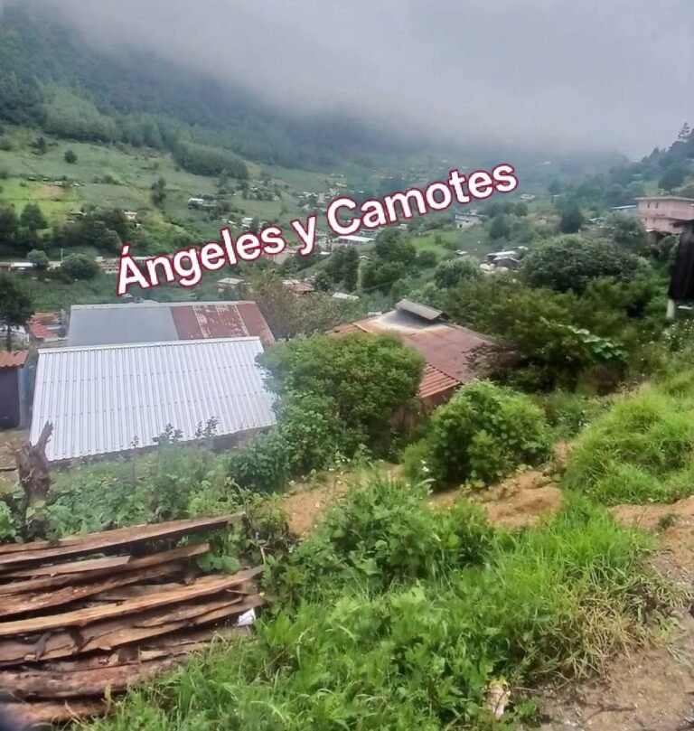 Doble ataque armado en Eloxochitlán; un muerto y un levantado